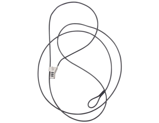 autre photo de IMG/nrs/nrs_vigilante_cable_lock.jpg