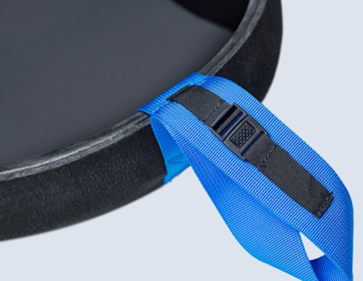 autre photo de IMG/palm/palm-orbit.jpg