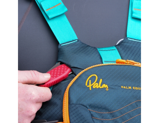 autre photo de IMG/palm/palm_riff_rescue.jpg