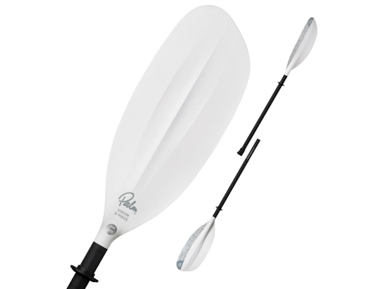 photo de l'article Palm Vision pro 2 parties